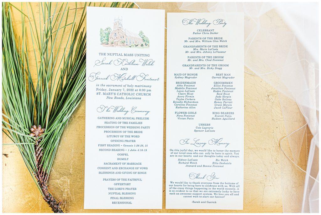 Bookshelf and card catalog decorated with green plants in terracotta pots